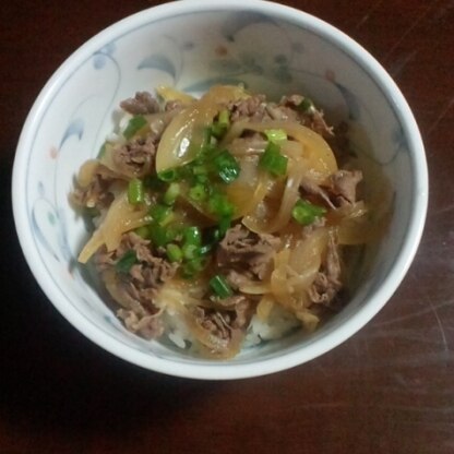 こんばんは＾＾
夕食に作りました♪ネギ入りの牛丼だと彩りも良く美味しいですね（*^_^*）
ご馳走様でした～